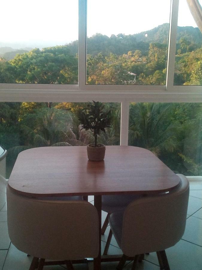 Ferienwohnung A La Montagne Le Morne-Vert Exterior foto